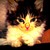 :iconshadowburn88: