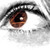 :iconshadowcat1432: