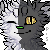 :iconshadowcat2745: