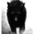 :iconshadowchaser911: