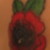 :iconshadowclaw02: