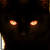 :iconshadowclawfc: