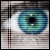 :iconshadowcoil: