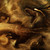 :iconshadowdancer315: