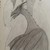 :iconshadowdragon1229: