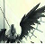 ShadowedAmunet :iconshadowedamunet: