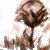 :iconshadowedcanvas: