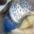 :iconshadowedgrace: