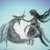 :iconshadowedlily: