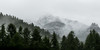 ShadowedSnowflake :iconshadowedsnowflake: