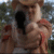 :iconshadowfan281: