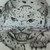 :iconshadowfaolanwolf: