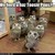 :iconshadowfeather1sbff: