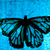 :iconshadowfrostt: