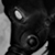 :iconshadowguard1262: