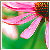 :iconshadowheart-stock: