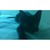 :iconshadowhinu:
