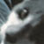 :iconshadowkast:
