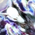 :iconshadowking16: