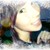 :iconshadowkissedguardian: