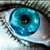 :iconshadowknight2006:
