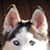 :iconshadowlera:
