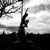 :iconShadowlight8: