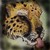 :iconshadowlioness: