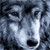 :iconshadowluvswolves: