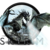 :iconshadowmaster95: