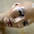 :iconshadowmeetslight: