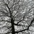 :iconshadownight900: