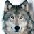 :iconshadowofglory: