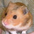 :iconshadowofthepen: