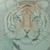 :iconshadowpaw77: