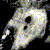 :iconshadowreh:
