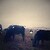 :iconshadows-harlot:
