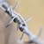 :iconshadows-soul: