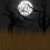 :iconshadows1028: