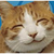:iconshadowsatoshiki: