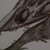 :iconshadowseikou: