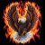:iconshadowshaper77: