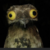 :iconshadowsheartbeat: