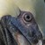 :iconshadowskullcat: