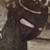 :iconshadowsparadise5: