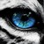 :iconshadowspirit1269: