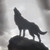 :iconshadowspiritwolf101: