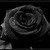:iconshadowstealer13: