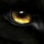 :iconshadowstep990: