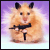 :iconshadowtail: